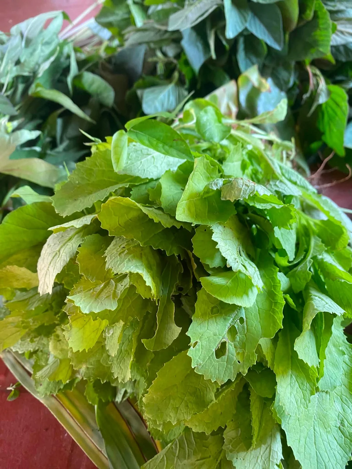 Bó rau xanh từ vườn
