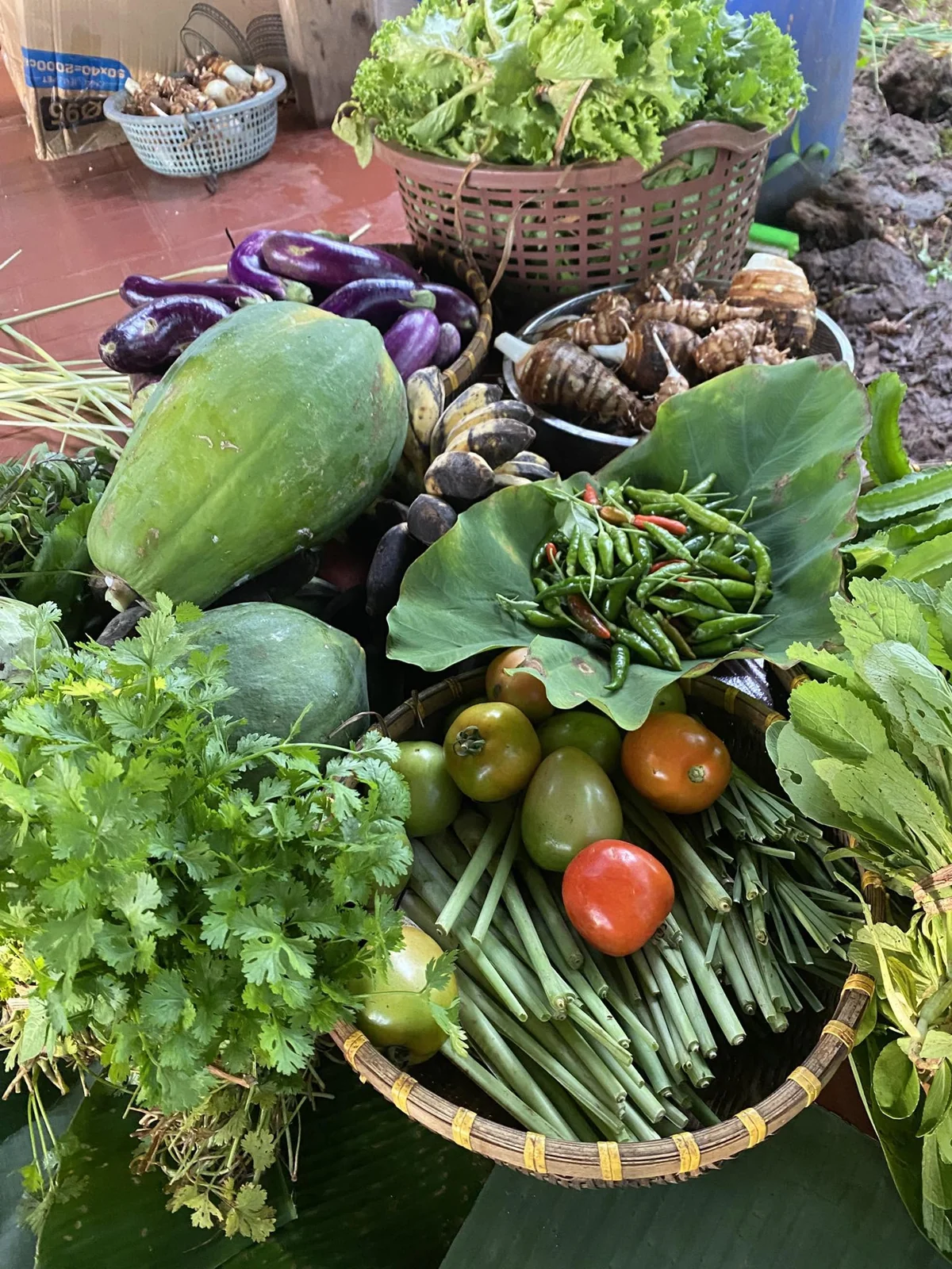 Giỏ rau và các loại quả từ farm